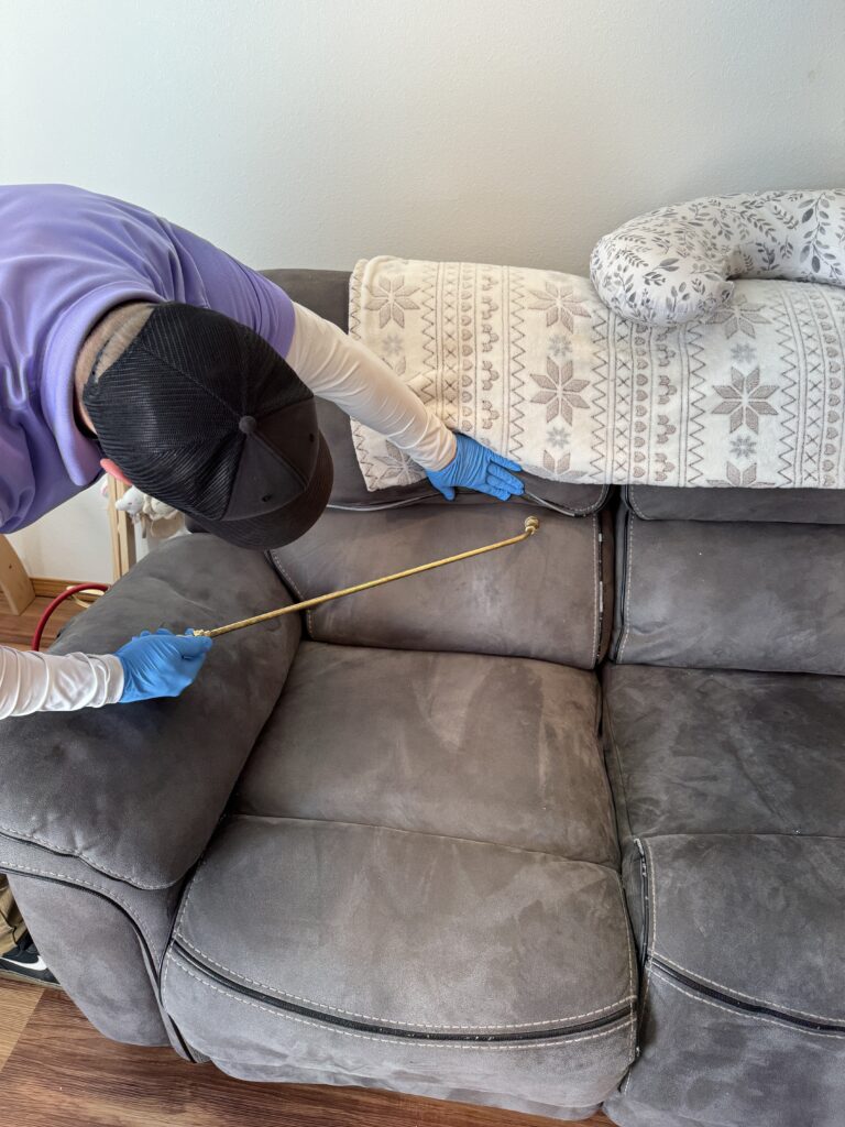 Bed Bugs a guy treating a home for bed bugs by spraying the couch with pesticide