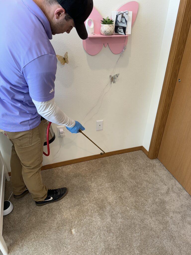 Bed Bugs a guy treating a home for bed bugs by spraying the baseboards with pesticide