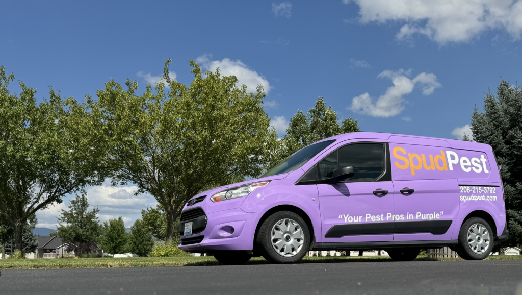 picture of a spud pest control van